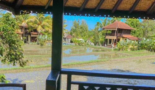 Deluxe Bungalow with Ricefield View