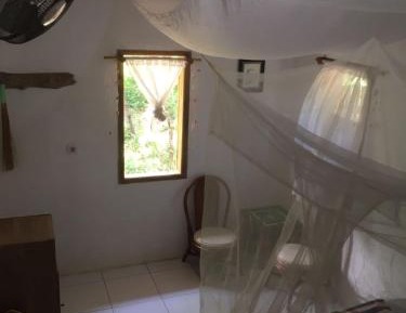 Single Bed in 4-Bed Dormitory Room