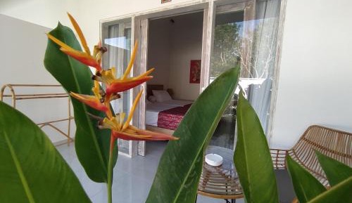Double or Twin Room with Pool View