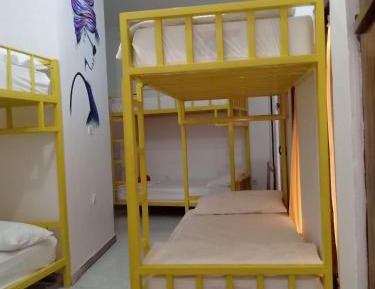Bunk Bed in Mixed Dormitory Room