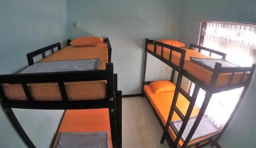 Bed in 4-Bed Mixed Dormitory Room