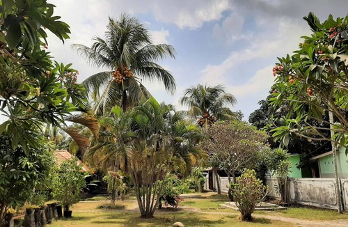 Pemenang Bed & Breakfast | New Taman Sari Homestay
