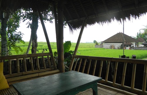 Kediri House | D'tegale Homestay