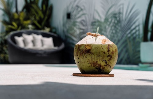 Pererenan Villa | Villa Coco.Nuts