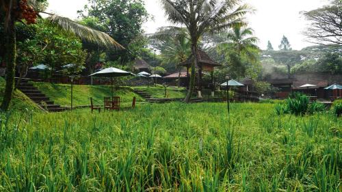 Dinoyo Hotel | Padi Heritage Hotel