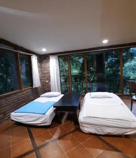 Ciloto Hotel | The Pinewood Lodge and Organic Farm