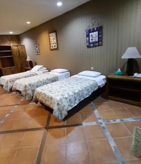 Ciloto Hotel | The Pinewood Lodge and Organic Farm