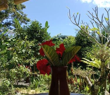 Sidemen House | Buntera Homestay Sidemen