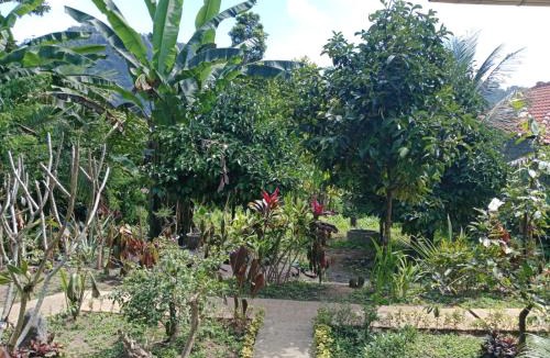 Sidemen House | Buntera Homestay Sidemen