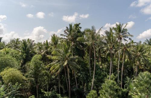Pengosekan Resort | Premadewi Resort A Pramana Experience