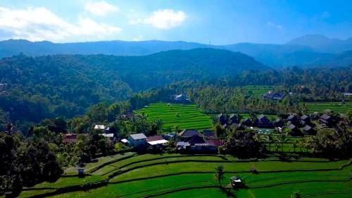 Gobleg Bed & Breakfast | Bali Harmoni