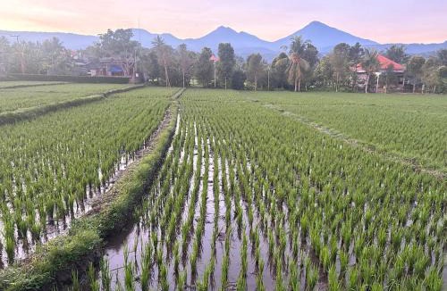 Banjartegehe House | Pondok Nisya