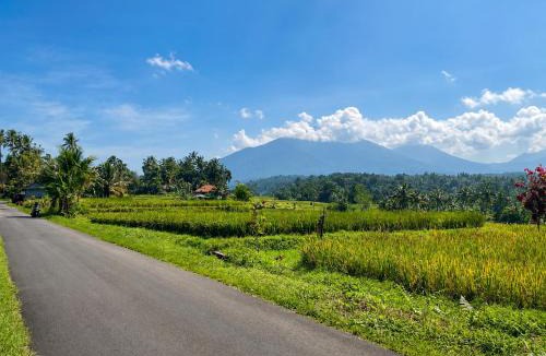 Penebel House | Buana Asti Homestay Retreat Batukaru