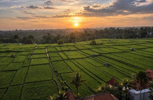 Kedewatan Villa | The Joglo at Umah Sunset