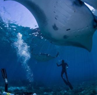 Sumbawa Barat Boat Rental | Kertasari Dive Bay
