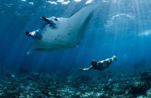 Sumbawa Barat Boat Rental | Kertasari Dive Bay