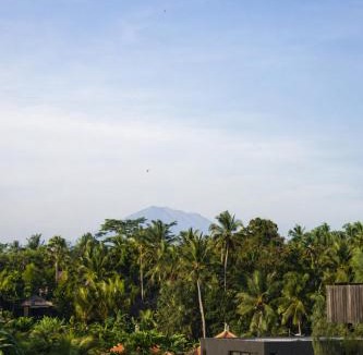 Petulu Bed & Breakfast | Kapu Kapu Ubud
