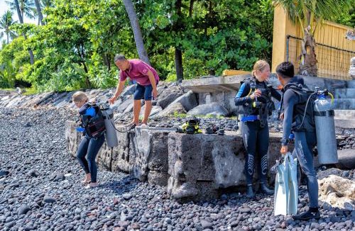 Kubu House | ABWonderdive - Scuba and Snorkeling Resort Junior Villa