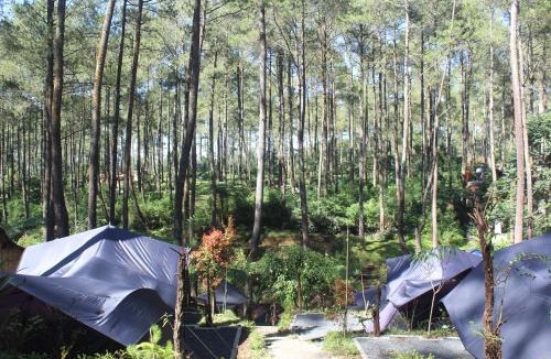 Cikole Other | serlok glamping