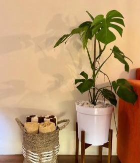 Drupadi Apartment | VIBO APART 750meter to Seminyak beach
