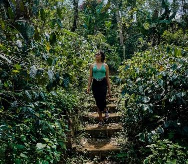 Gobleg Resort | Munduk Moding Plantation Nature Resort