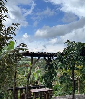 Wanagiri Other | Kuna GlampCamp