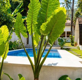 Senggigi Cabin | Kelapa Lodge - Lombok -