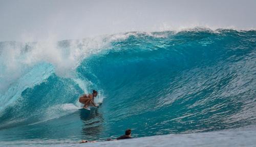 Sipura Island Hotel | AKUA VILLAS Mentawai