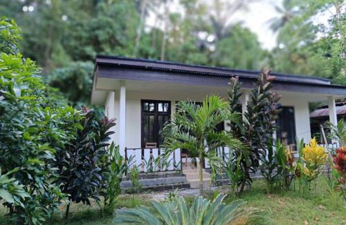 Marinsow House | Tangkoko Sweet Home