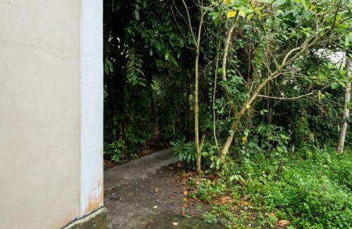 Singakerta Cabin | Ayu Shanti Guest House Ubud