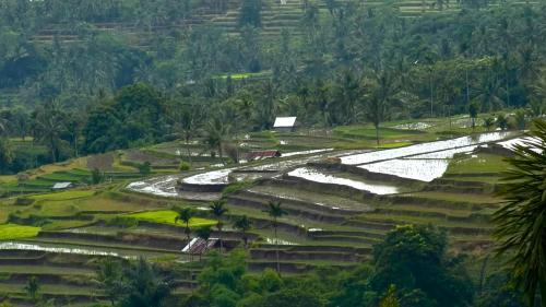Bayan Resort | Pondok Senaru Cottages