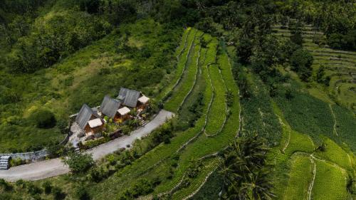 Penida Island Hotel | Janggur Baud Hill Nusa Penida