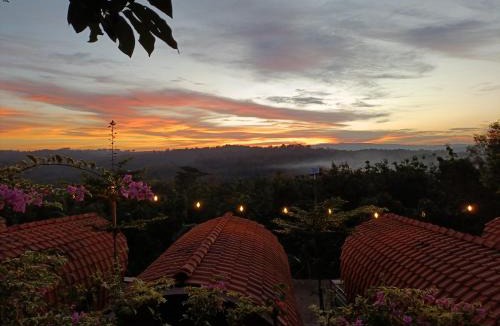 Patuk Other | Bitu Garden