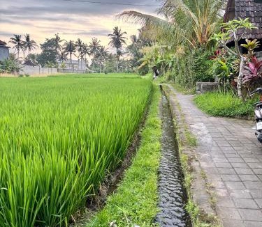 Pengosekan House | Villa Pondok Restu