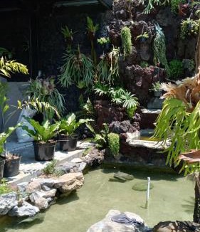 Kintamani Other | Adelisca Glamping, Cafe and Villa