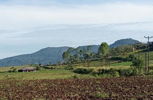 Tomohon Hotel | Castello