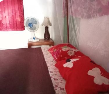Lovina Hostel | Apollo Hostel