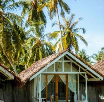 Katiet Resort | La Belle Hollow Trees
