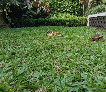 Bongkasa Pertiwi Villa | Ari sari joglo