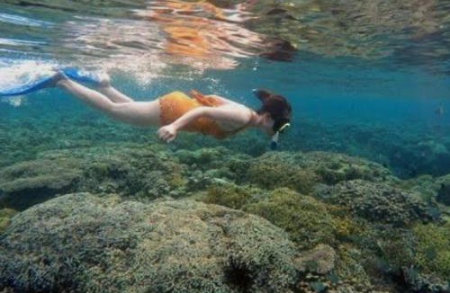 Bunaken Bed & Breakfast | Bunaken Jhon Homestay