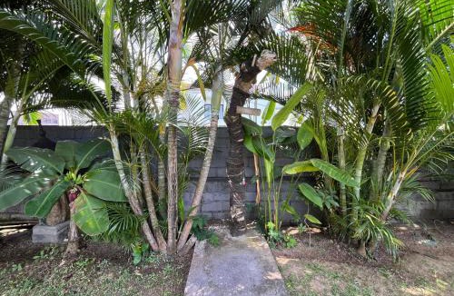Munggu House | Villa Alisha