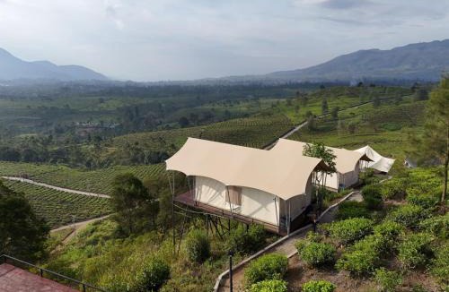 Pangalengan Villa | Nimo Tea Resort