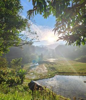 Mamasa House | Serenity homestay