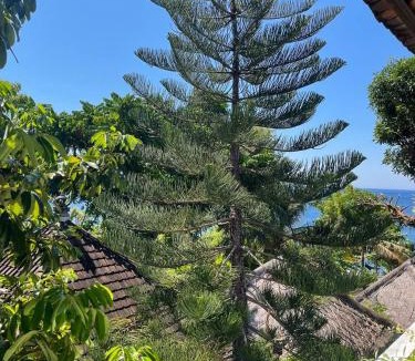 Amed Resort | Bali Dream House