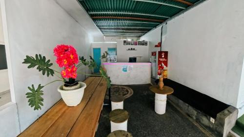 Pererenan Hostel | My Capsule Canggu