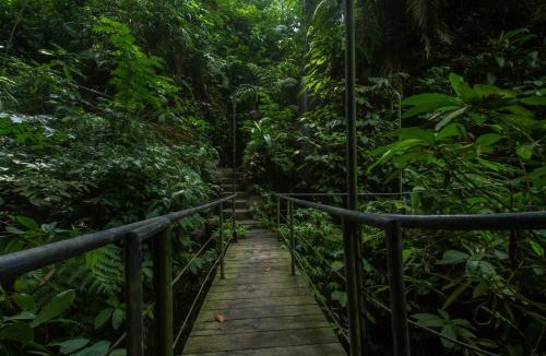 Payangan Cabin | Sacred Beji by GenuineHost