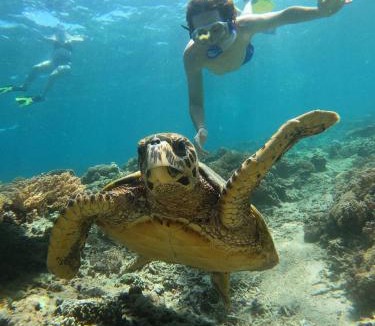 Gili Meno Hotel | Gili Meno Mojo Beach Resort