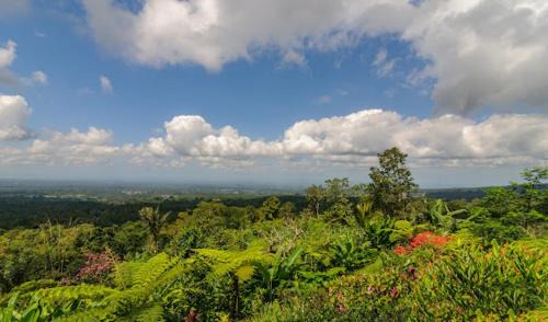 Penebel Ski Chalet | Alam Mountain Chalets Bali