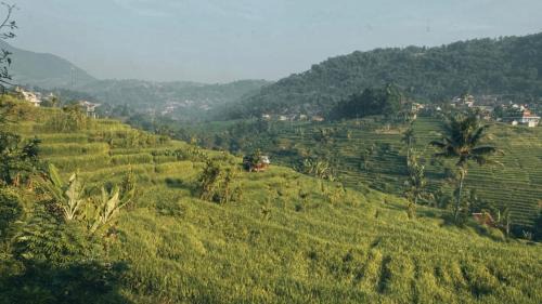 Bandung Villa | Villa Cetok Syariah - Nuansa Pedesaan