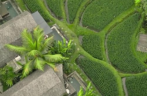 Pengosekan Resort | Menzel Villa Ubud